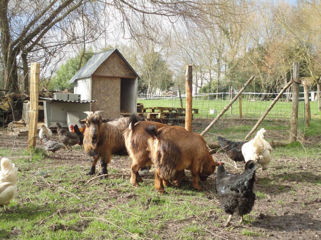 Les 2 Madeleine Bed & Breakfast Saint-Saturnin-du-Bois ภายนอก รูปภาพ